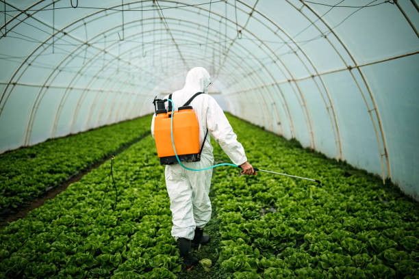 Best Best Pest Control Near Me  in King, NC