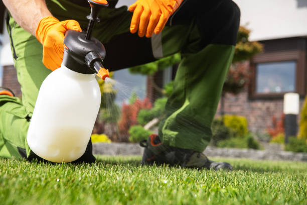 Best Commercial Pest Control Services  in King, NC